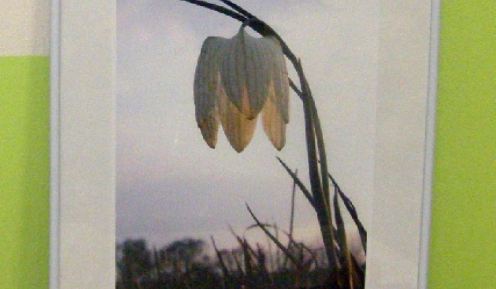 14. fotografia fotogalérie Mesiac úctu k starším 2013