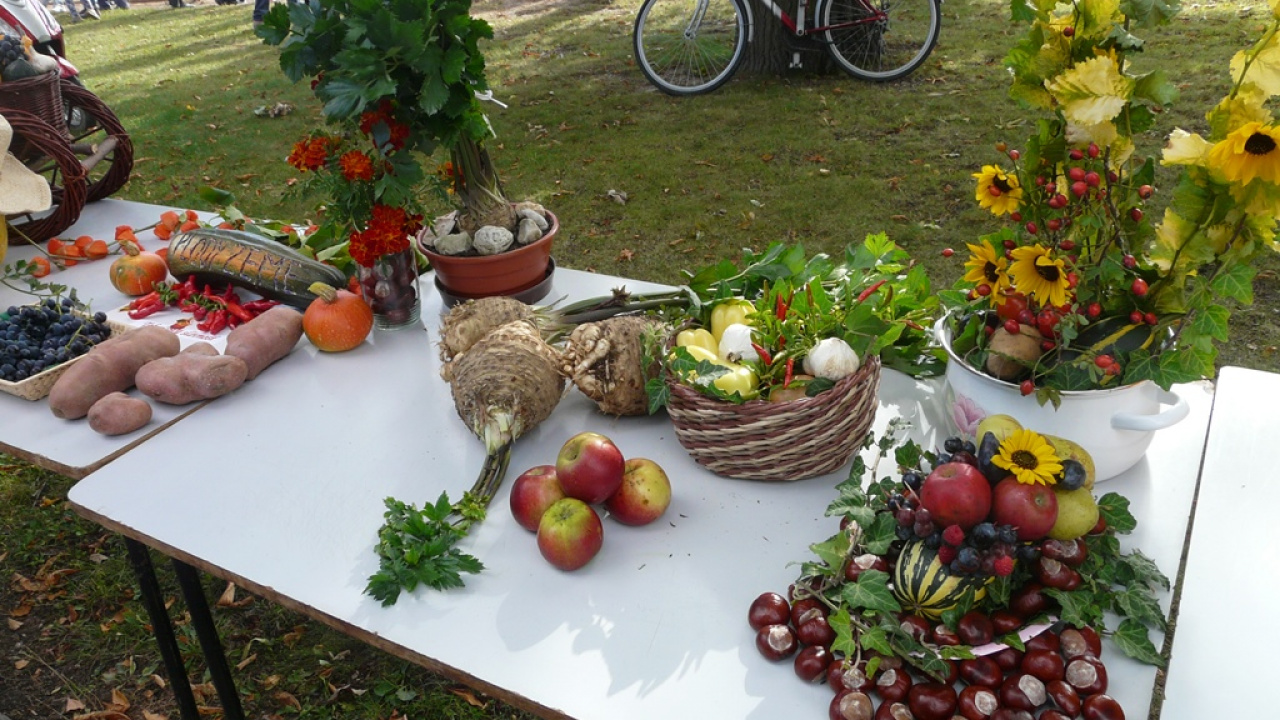 Fotografia fotogalérie Čo záhrada dala a Tekvičková slávnosť 2020
