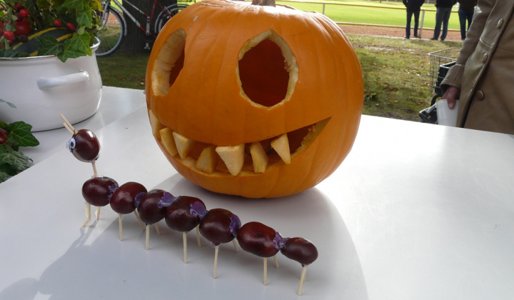 2. fotografia fotogalérie Čo záhrada dala a Tekvičková slávnosť 2020