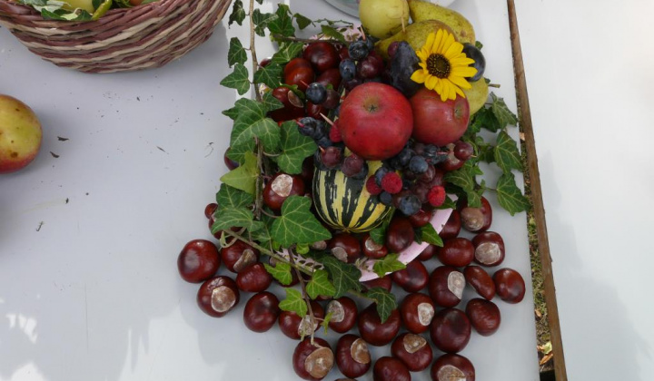 3. fotografia fotogalérie Čo záhrada dala a Tekvičková slávnosť 2020