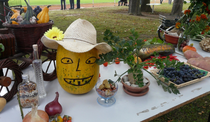 5. fotografia fotogalérie Čo záhrada dala a Tekvičková slávnosť 2020