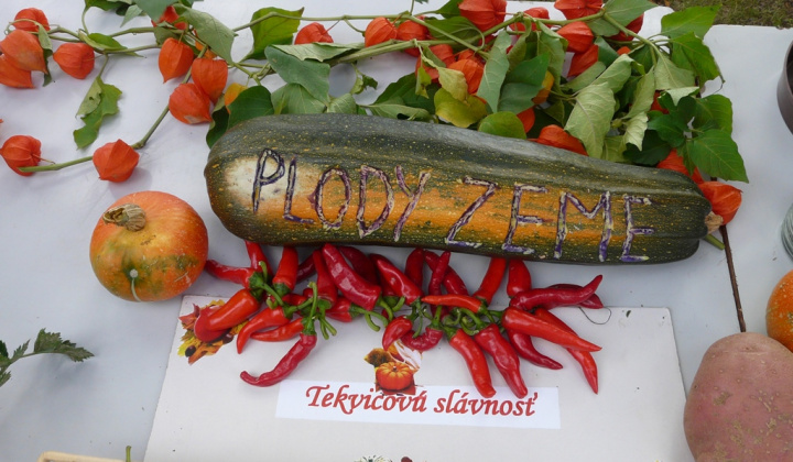 7. fotografia fotogalérie Čo záhrada dala a Tekvičková slávnosť 2020