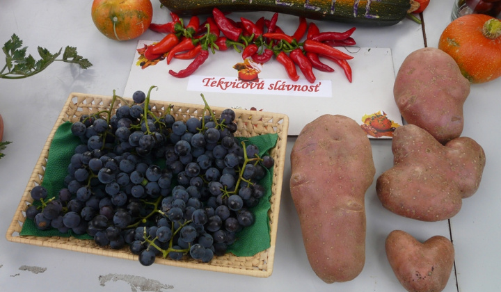 8. fotografia fotogalérie Čo záhrada dala a Tekvičková slávnosť 2020