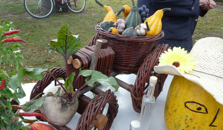 9. fotografia fotogalérie Čo záhrada dala a Tekvičková slávnosť 2020