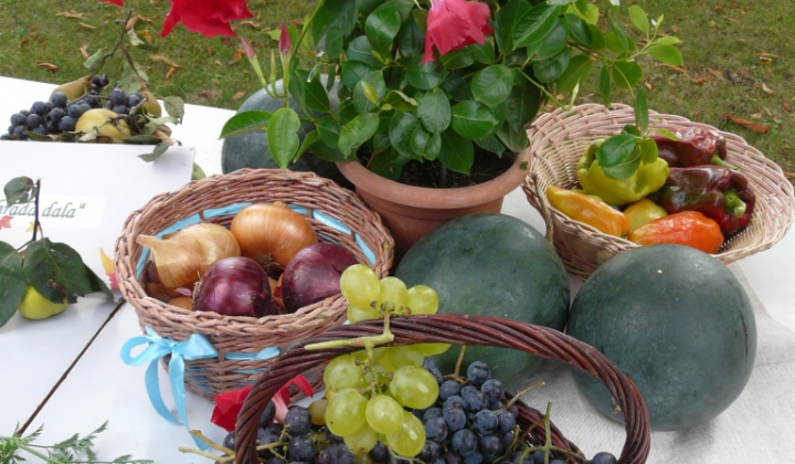 10. fotografia fotogalérie Čo záhrada dala a Tekvičková slávnosť 2020