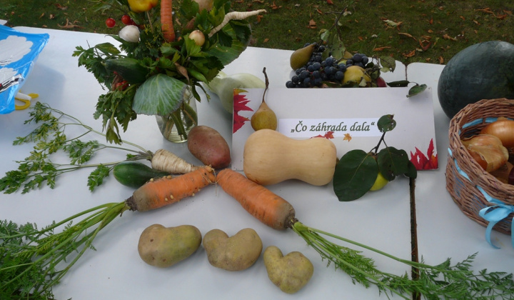 11. fotografia fotogalérie Čo záhrada dala a Tekvičková slávnosť 2020