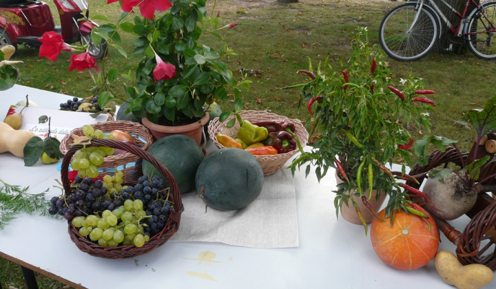 13. fotografia fotogalérie Čo záhrada dala a Tekvičková slávnosť 2020