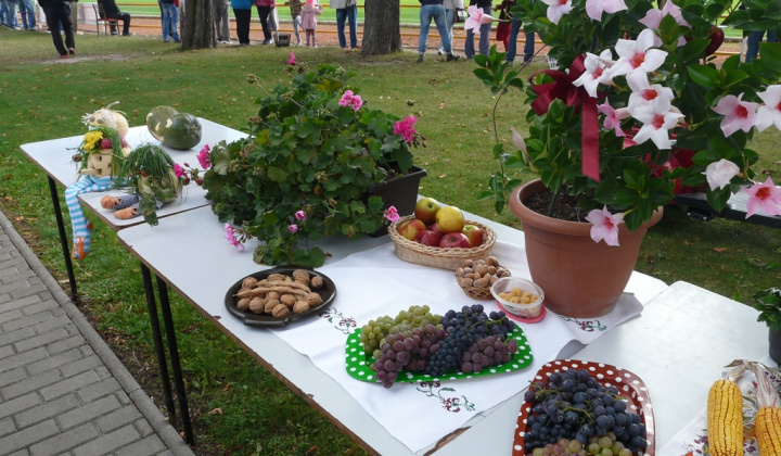 14. fotografia fotogalérie Čo záhrada dala a Tekvičková slávnosť 2020