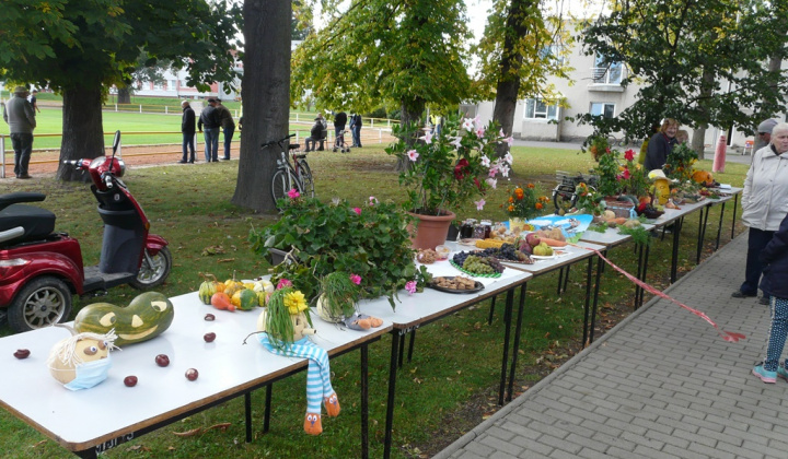 19. fotografia fotogalérie Čo záhrada dala a Tekvičková slávnosť 2020