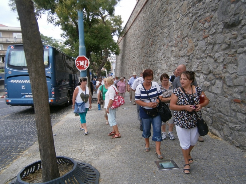 Slovensko naše krásne si.