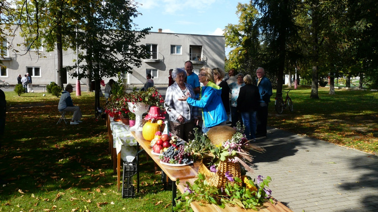 Fotografia fotogalérie Čo záhrada dala a Tekvičková slávnosť 2019