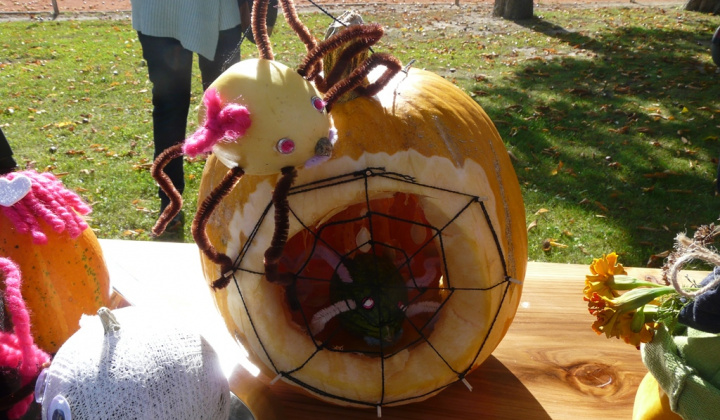 5. fotografia fotogalérie Čo záhrada dala a Tekvičková slávnosť 2019