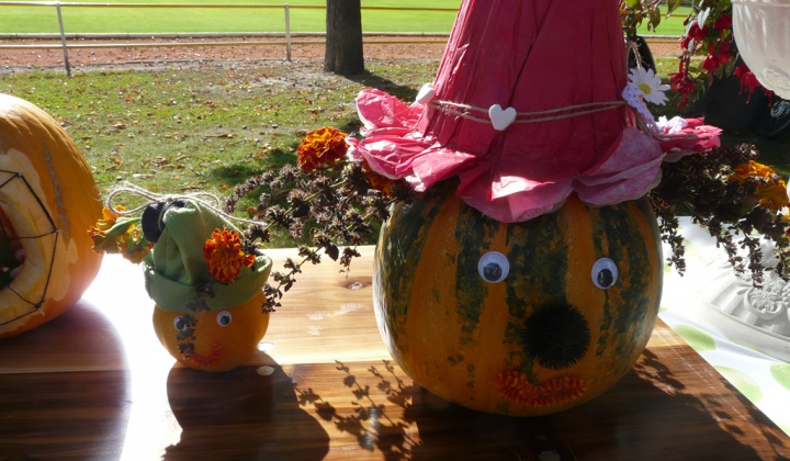 6. fotografia fotogalérie Čo záhrada dala a Tekvičková slávnosť 2019