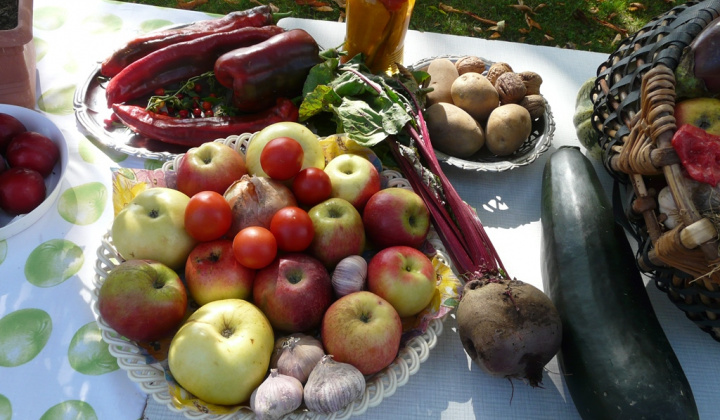 9. fotografia fotogalérie Čo záhrada dala a Tekvičková slávnosť 2019