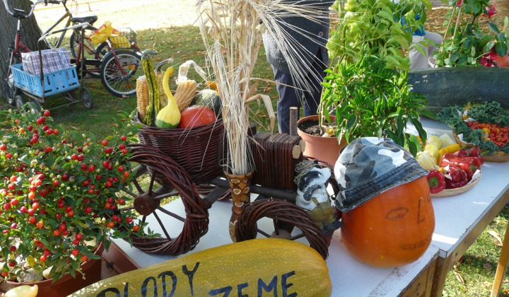 12. fotografia fotogalérie Čo záhrada dala a Tekvičková slávnosť 2019