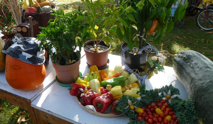 13. fotografia fotogalérie Čo záhrada dala a Tekvičková slávnosť 2019