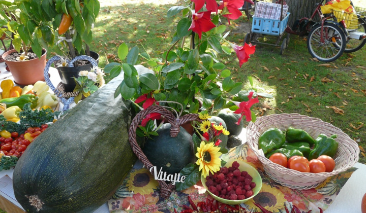 14. fotografia fotogalérie Čo záhrada dala a Tekvičková slávnosť 2019