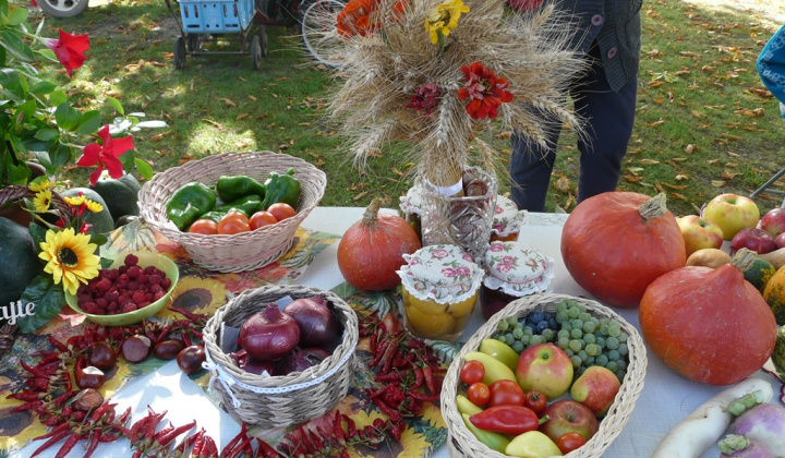 15. fotografia fotogalérie Čo záhrada dala a Tekvičková slávnosť 2019