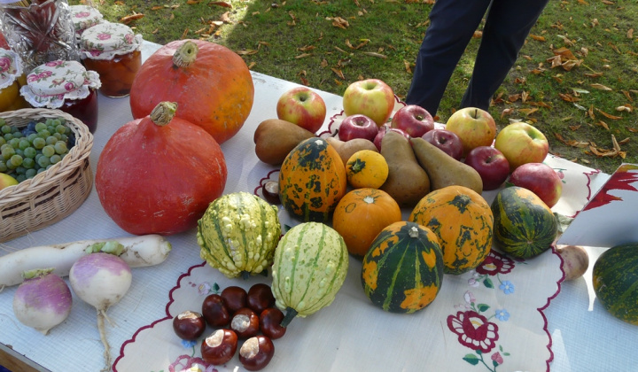 16. fotografia fotogalérie Čo záhrada dala a Tekvičková slávnosť 2019