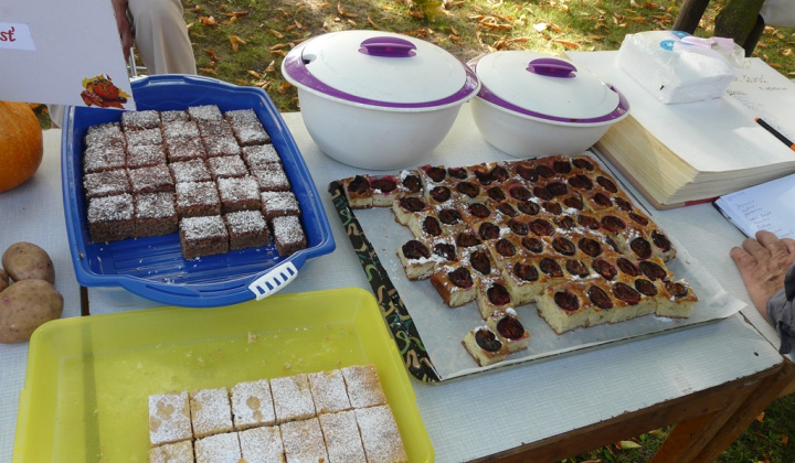 18. fotografia fotogalérie Čo záhrada dala a Tekvičková slávnosť 2019