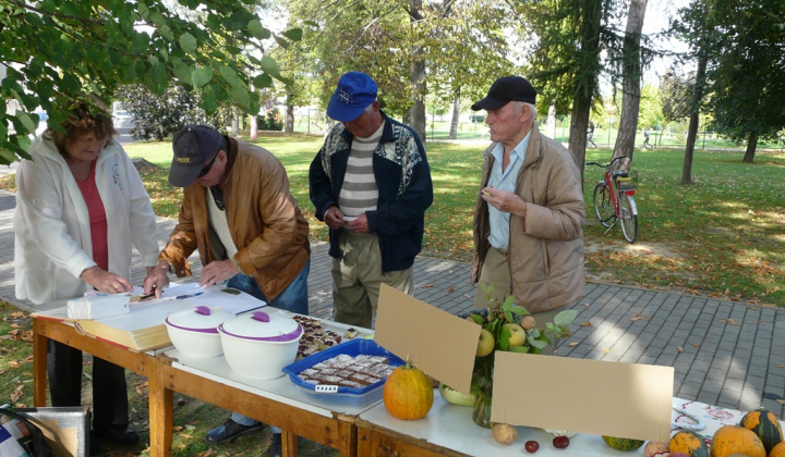 20. fotografia fotogalérie Čo záhrada dala a Tekvičková slávnosť 2019