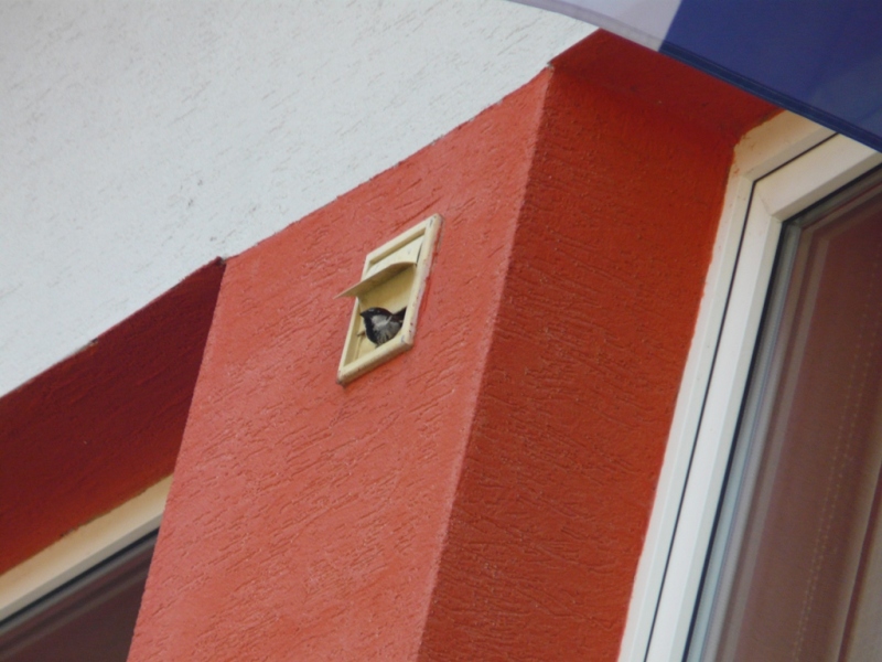 Rozlúčka ZŠ Kalinovo - 30. jún 2017