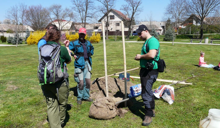 5. fotografia fotogalérie 100. výročie vzniku ochrany prírody - výsadba stromu