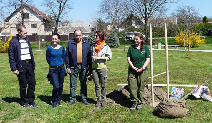 10. fotografia fotogalérie 100. výročie vzniku ochrany prírody - výsadba stromu