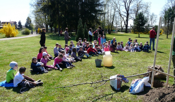 12. fotografia fotogalérie 100. výročie vzniku ochrany prírody - výsadba stromu
