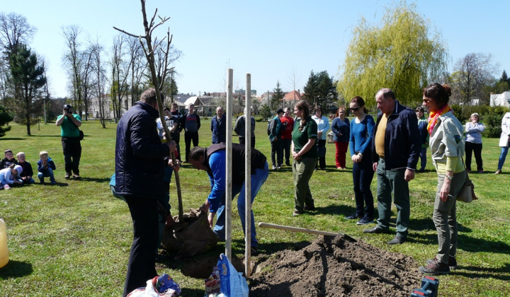 23. fotografia fotogalérie 100. výročie vzniku ochrany prírody - výsadba stromu