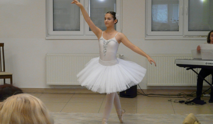 11. fotografia fotogalérie MDŽ 2019