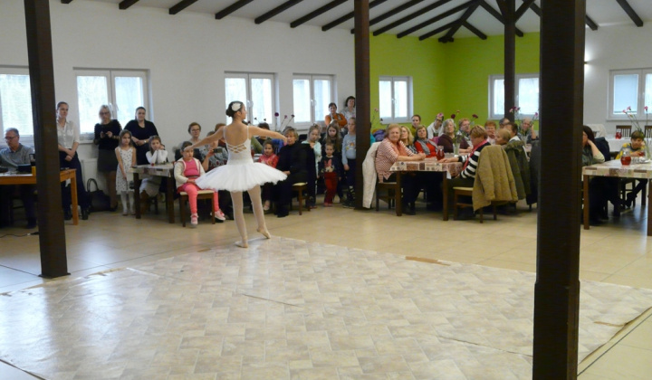 13. fotografia fotogalérie MDŽ 2019