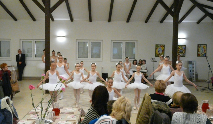 15. fotografia fotogalérie MDŽ 2019