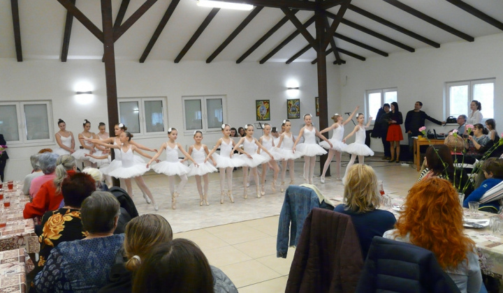 16. fotografia fotogalérie MDŽ 2019