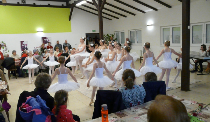 17. fotografia fotogalérie MDŽ 2019