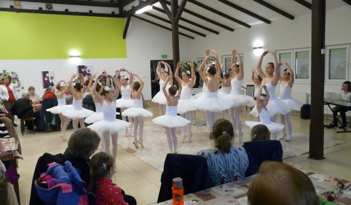 19. fotografia fotogalérie MDŽ 2019