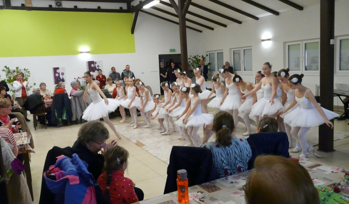 21. fotografia fotogalérie MDŽ 2019