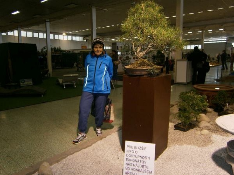 Zájazd - Gardénia v Nitre 2017