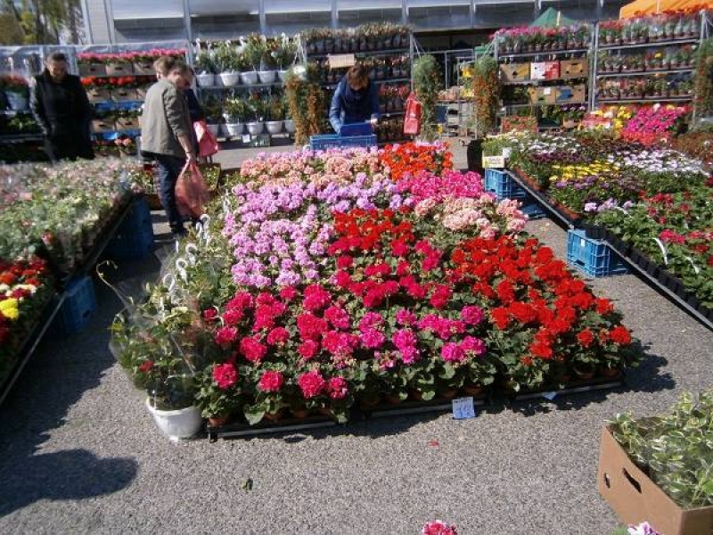 Zájazd - Gardénia v Nitre 2017