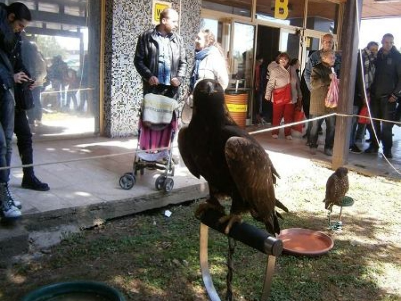 Zájazd - Gardénia v Nitre 2017